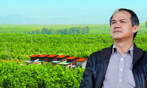 Hoàng kim có trở lại với bầu Đức nhờ vào giá cao su?