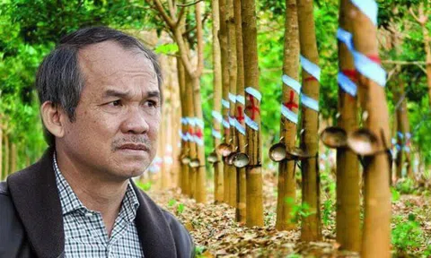 Khu vườn tỷ USD dậy sóng, Bầu Đức sẽ lại tiền về như nước