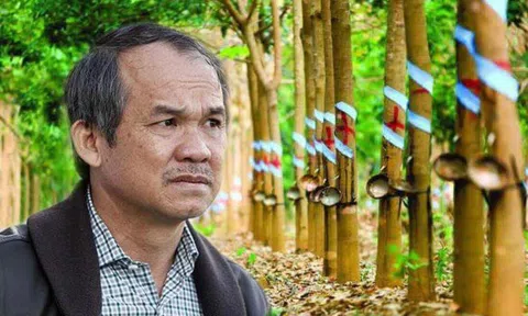 Giá cao su bật tăng "ác liệt", hơn 17.000ha sắp khai thác của Bầu Đức sẽ cho lợi khủng?