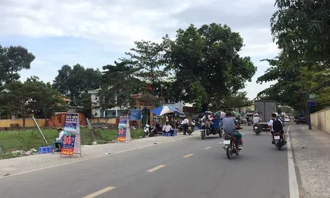 Môi giới, cò đất “đỏ mắt” tìm khách mua bất động sản dịp cận Tết