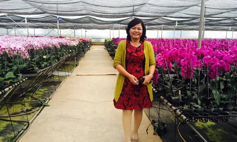 Bà thương lái Việt dám sang Trung Quốc mua cả 1 nông trường cam