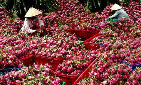 Một thay đổi lớn từ Trung Quốc: Lời cảnh báo gửi tới Việt Nam