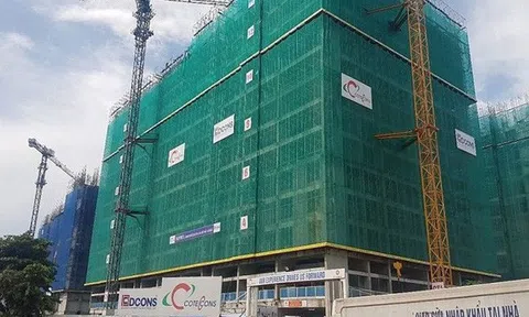 Kê khai sai, Coteccons bị phạt và truy thu thuế 12 tỷ đồng
