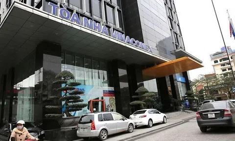 Vinaconex về tay An Quý Hưng: 'Thay máu' HĐQT, sửa Điều lệ, thay đổi ngành nghề kinh doanh