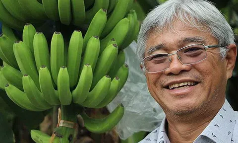 Ông trùm chuối Việt: ‘Tôi khởi nghiệp tới 25 lần!’