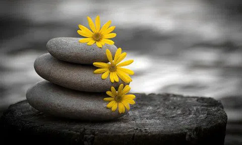 Đàn ông 40: "Hai việc không được mắc phải, ba điều không nên kích động, bốn thứ không được thay đổi", ngẫm chẳng sai chút nào!