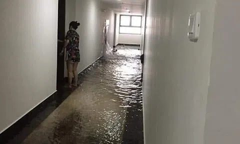 Cư dân bơi trên tầng 21 vì vỡ đường ống nước cứu hỏa