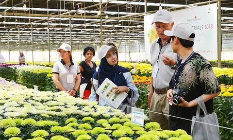 27 năm trước từng bị gọi là "điên" khi đưa nhà kính về Việt Nam, nhưng người đàn ông này đã giúp Đà Lạt trở thành thủ phủ hoa của cả nước