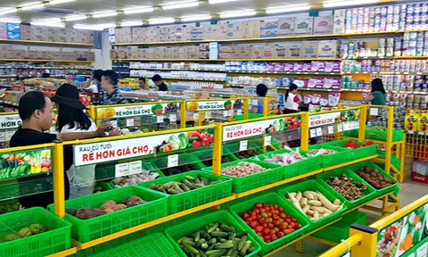 Sau 1 năm 'đại cải tổ', Bách Hóa Xanh chuẩn bị tăng tốc, tuyên bố mở hơn 300 cửa hàng năm 2019