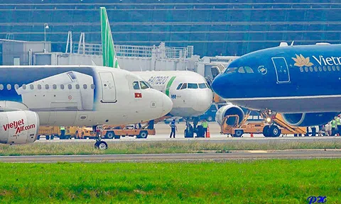 Bay thẳng đến Mỹ mỗi năm có thể lỗ hơn 30 triệu USD