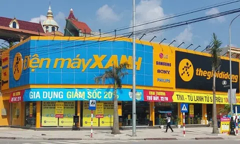 Chuyển cửa hàng Thế giới Di động thành Điện máy xanh, Bách hóa xanh 'tấn công' ra tỉnh cho kết quả ra sao?