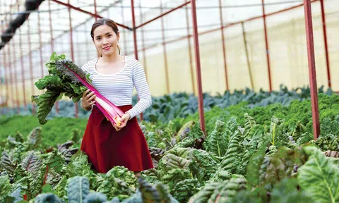 Con đường khởi nghiệp "thuận theo tự nhiên" của nhà sáng lập Đà Lạt Ecofarm