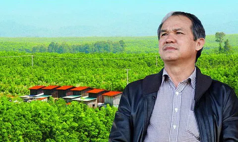 Sau 2 năm cần mẫn trồng cây ăn trái, bầu Đức cuối cùng cũng 'hái quả ngọt': Thu về hơn 200 triệu USD, hiệu suất sinh lời cao chưa từng thấy