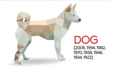 Nhìn lại 1 năm kinh doanh của các doanh nhân tuổi Tuất: Người thăng hoa cất cánh, người kinh doanh trong khó khăn