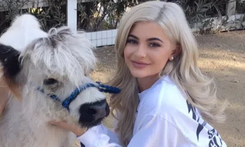 Kylie Jenner, em gái "cô Kim siêu vòng 3", nữ tỷ phú tự thân trẻ nhất mọi thời đại của Forbes: Năm 30 tuổi tôi muốn có gia đình nhỏ, cùng về quê nuôi gà