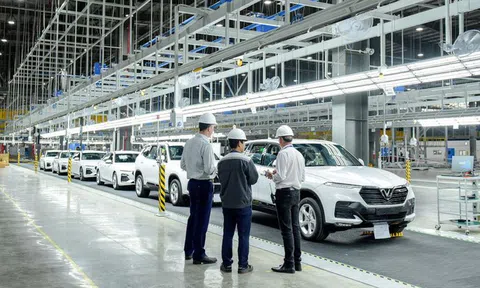 VinFast đưa 155 ô tô đến 14 quốc gia thuộc 4 châu lục để kiểm thử