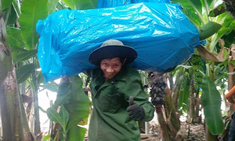 Một năm ở nông trại sa mạc học tư duy Do Thái của chàng trai Việt