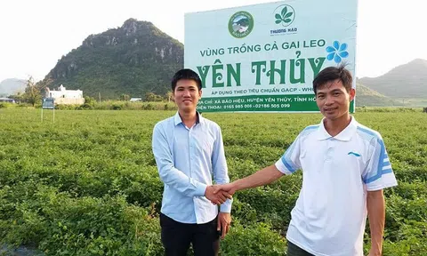 Chàng kỹ sư nuôi giấc mộng với cây dại