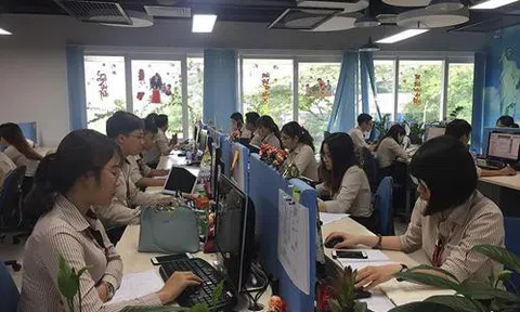 Lương trung bình của kỹ sư IT là hơn 50 triệu đồng một tháng