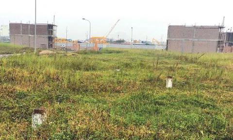 Làm giả bản đồ quy hoạch, lừa bán đất cho hàng trăm người thu gần 300 tỷ đồng