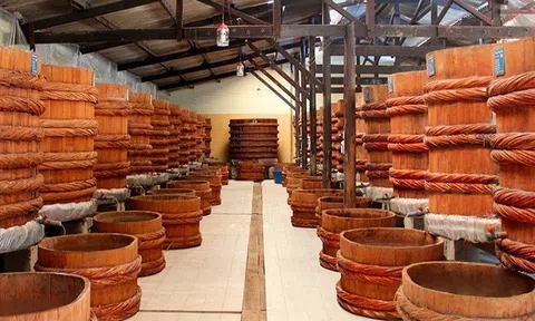 Bê bối nước mắm: Cuộc cạnh tranh thành lập Hội nước mắm và Hiệp hội nước mắm truyền thống