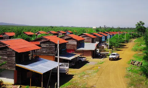 Chính phủ Campuchia thu hồi hơn 742 ha đất từ HAGL để trả lại cho người dân bản địa