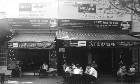 Trong khi vợ chồng ông chủ mải miết kiện tụng, một "ngựa ô" trong ngành đã vượt mặt Trung Nguyên trở thành bá chủ chuỗi về số điểm bán