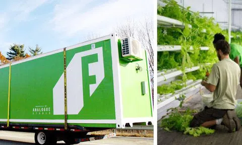 Freight Farms và công nghệ trồng rau tương lai: Không đất, không hóa chất, bất chấp thời tiết, hiệu quả gấp 80 lần và thu về 39.000 USD mỗi container