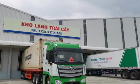 Thaco rót thêm chục nghìn tỷ đồng cho các dự án nông nghiệp, bao tiêu trái cây cho HAGL Agrico