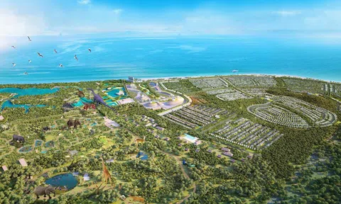 Tập đoàn Novaland lên kế hoạch đầu tư dự án khu nghỉ dưỡng safari quy mô 500ha tại Hồ Tràm