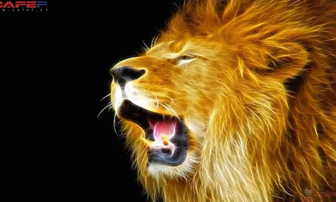 Đừng để sĩ diện lấn át sự tỉnh táo: Câu chuyện về sự "cả giận mất khôn" khiến số đông giật mình suy ngẫm