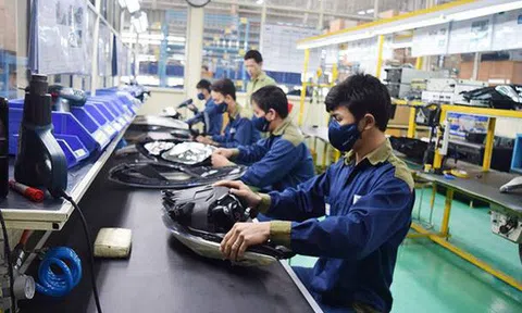 Không phải tài chính lẫn công nghệ, đây mới là ngành đang "giành người" khốc liệt mà cấp quản lý được trả lương tới 185 triệu đồng/tháng