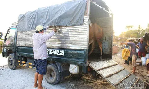 Mang nửa tỷ đi loanh quanh khu đất vàng, anh trai Sài Gòn kiếm lời trăm triệu