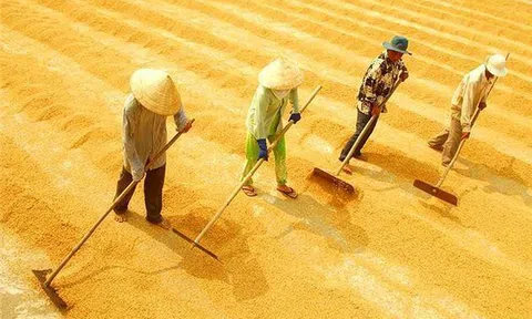 Trung Quốc gây biến động, vạn gia đình Việt bất an