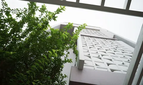 Ngôi nhà yên tĩnh bên trong thành phố không ngủ