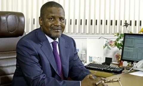 Tiền nhiều để làm gì: Tỷ phú rút 10 triệu USD xếp đống... để ngắm