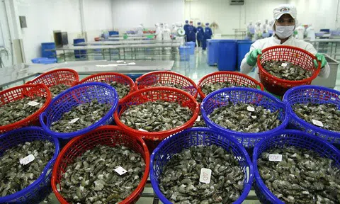 Hàng 'dính độc': Bên Tây cấm cửa trả về, dân xứ ta ăn an toàn