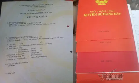 Nguyên ủy viên thường vụ Tỉnh ủy xin cấp chục ha đất 135 vì… nghèo khó