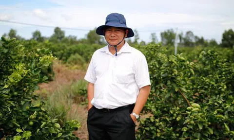 Chân dung kỹ sư công nghệ đại học Bách Khoa bỏ thành phố về quê trồng chanh, tạo ra sản phẩm trở thành đối thủ lớn của Knorr