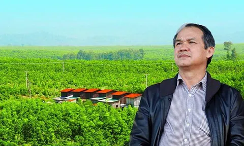 Cổ phiếu bị đánh giá thấp, công ty bầu Đức thua lỗ thế nào?
