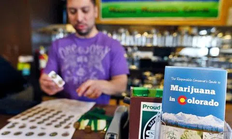 Đến con gái của Lý Tiểu Long cũng mượn danh cha đi bán cần sa, có bí mật gì ẩn đằng sau ngành công nghiệp tỉ đô liên quan tới "cây cần sung sướng"?