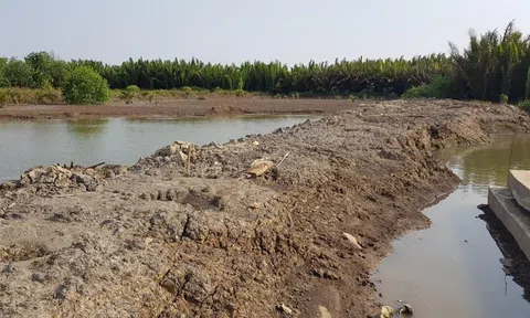 Ùn ùn kéo nhau xuống Cần Giờ 'săn' đất