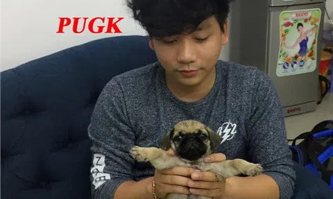 Khoa Pug là ai mà clip review, tố cáo resort Aroma của Youtuber này khiến nhiều người chú ý đến vậy?