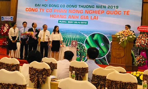 'HAGL Agrico không bán 20.000 ha đất cho Thaco, cố gắng năm 2020 có lợi nhuận để chia cổ tức'