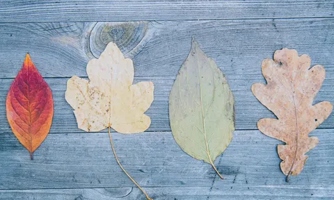 Đời người có 7 thứ gia vị, bạn đã có được bao nhiêu?