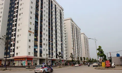 Chuyển 8 dự án của Mường Thanh sang cơ quan điều tra