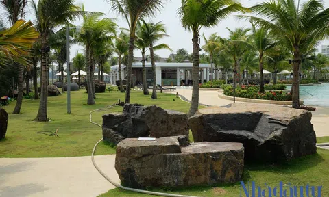 Bí ẩn Trịnh Thanh Huy: Từ ông chủ công ty phá sản đến chủ đầu tư siêu dự án 1,5 tỷ USD