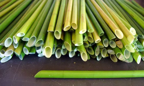 Người đàn ông Việt Nam chế ống hút từ cỏ, giúp giải quyết vấn đề rác thải nhựa