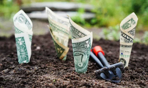 Lĩnh vực đầu tư này sẽ giúp bạn kiếm hàng triệu USD mà không phải đóng 1 xu tiền thuế