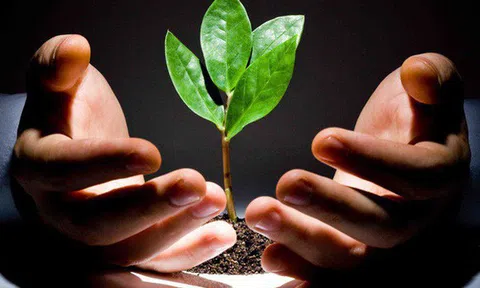 Tiền là gì? Nhà là gì? Xe là gì? Sai lầm của chúng ta là trân quý những vật ngoài thân ấy hơn cả sinh mạng của chính mình!